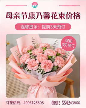 绍兴新昌县花店母亲节康乃馨花束