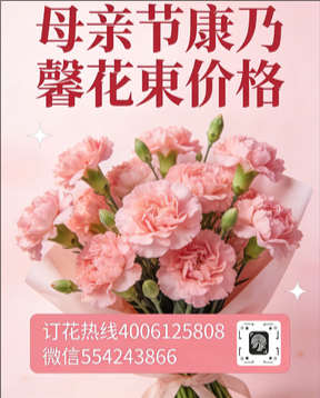 绍兴新昌县花店母亲节康乃馨花束